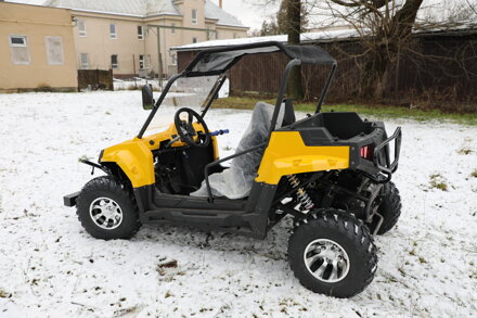 Buggy UTV 300ccm
