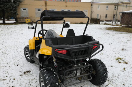 Buggy UTV 300ccm