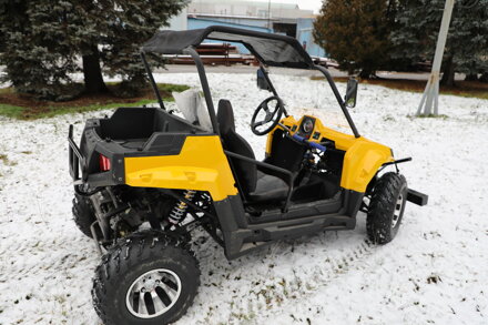 Buggy UTV 300ccm