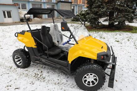 Buggy UTV 300ccm