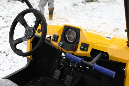 Buggy UTV 300ccm