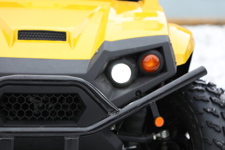 Buggy UTV 300ccm