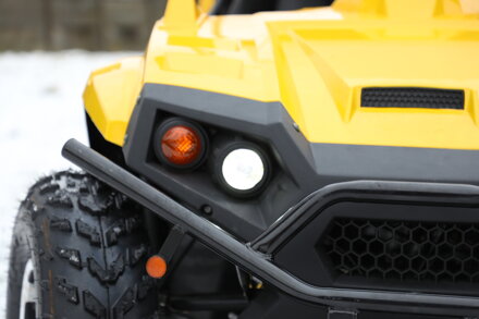 Buggy UTV 300ccm
